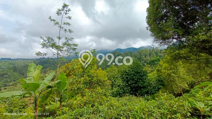 Kavling Tanah Dijual di Bojong, Purwakarta, Luas 2093m2 Area Strategis Kavling Tanah Dijual di Bojong, Purwakarta, Luas 2093m2 Area Strategis