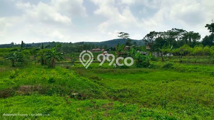 Kavling Tanah di Kiarapedes Dijual Luas 18000m2 Legalitas SHM Kavling Tanah di Kiarapedes Dijual Luas 18000m2 Legalitas SHM