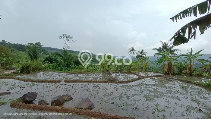 Untuk Dijual Tanah di Darangdan Purwakarta Luas 1m2 SHM Untuk Dijual Tanah di Darangdan Purwakarta Luas 1m2 SHM