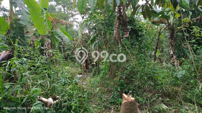 Lahan untuk Dijual di Bojong Purwakarta Luas 3m2 Lahan untuk Dijual di Bojong Purwakarta Luas 3m2
