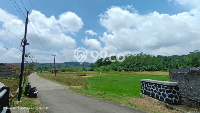 Kavling Tanah Dijual di Kiarapedes Purwakarta Spesifikasi 1200m2 Kavling Tanah Dijual di Kiarapedes Purwakarta Spesifikasi 1200m2