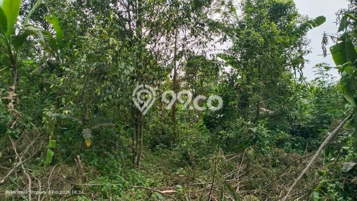 Lahan untuk Dijual di Bojong Purwakarta Luas 3m2 Lahan untuk Dijual di Bojong Purwakarta Luas 3m2
