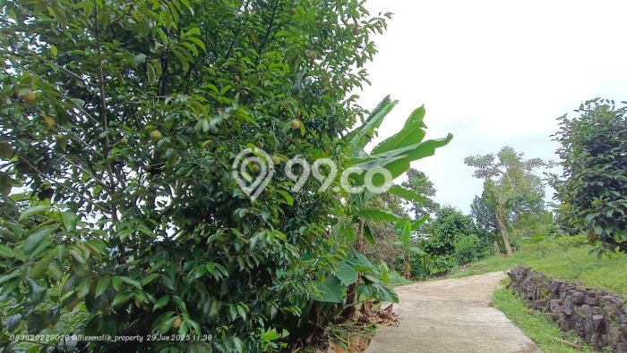 Tanah untuk Dijual Lokasi Bojong, Purwakarta Luas 40000m2 SHM Tanah untuk Dijual Lokasi Bojong, Purwakarta Luas 40000m2 SHM