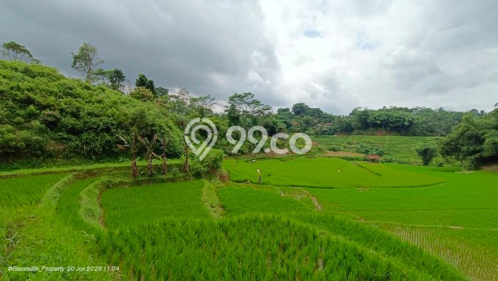 Tanah Kavling di Darangdan Dijual dengan Luas 2054m2 Tanah Kavling di Darangdan Dijual dengan Luas 2054m2