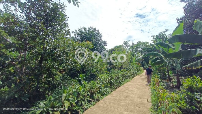 Tanah Dijual Lokasi Darangdan, Purwakarta Luas 965m2 Legalitas Aman Tanah Dijual Lokasi Darangdan, Purwakarta Luas 965m2 Legalitas Aman