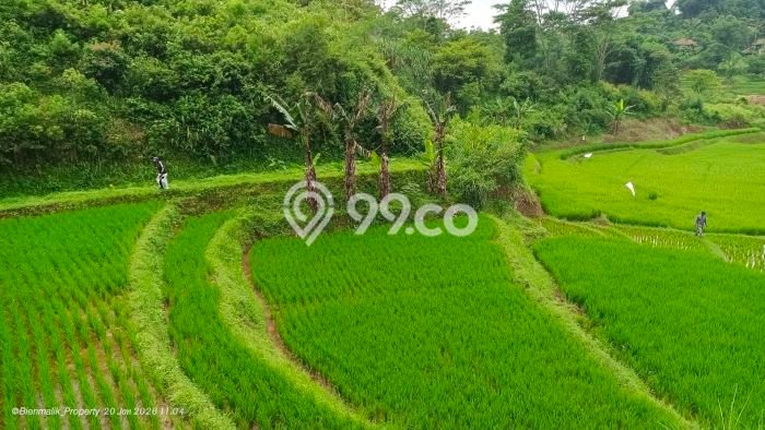 Tanah Kavling di Darangdan Dijual dengan Luas 2054m2 Tanah Kavling di Darangdan Dijual dengan Luas 2054m2