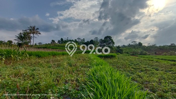 Tanah Kavling untuk Dijual di Darangdan Purwakarta 4000m2 Tanah Kavling untuk Dijual di Darangdan Purwakarta 4000m2