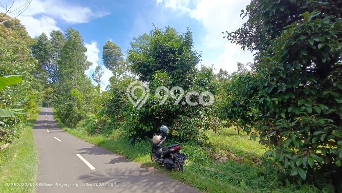 Tanah di Kiarapedes, Purwakarta Luas 1289m2 Dijual Segera Tanah di Kiarapedes, Purwakarta Luas 1289m2 Dijual Segera