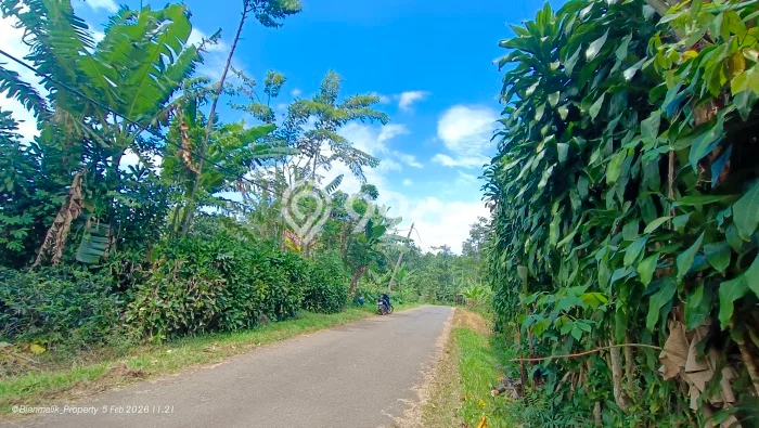 Tanah untuk Dijual Lokasi Kiarapedes, Purwakarta Luas 2227m2 SHM Tanah untuk Dijual Lokasi Kiarapedes, Purwakarta Luas 2227m2 SHM