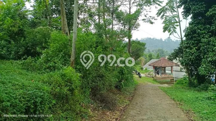 Jual Rumah Harga Miring Bojong Punya 7 KT & LT 5000m2 Jual Rumah Harga Miring Bojong Punya 7 KT & LT 5000m2
