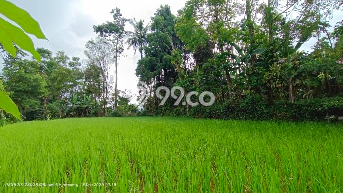 Lahan Dijual Lokasi Darangdan, Purwakarta dengan Luas Tanah 678m2 dan Status - Lahan Dijual Lokasi Darangdan, Purwakarta dengan Luas Tanah 678m2 dan Status -