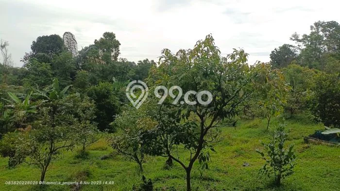 Lahan Investasi Lokasi Darangdan Purwakarta SHM Lahan Investasi Lokasi Darangdan Purwakarta SHM