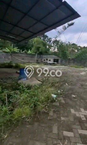 Pabrik Dijual Lokasi Stratagis di Purwodadi Pasuruan Cocok untuk Bisnis Pabrik Dijual Lokasi Stratagis di Purwodadi Pasuruan Cocok untuk Bisnis