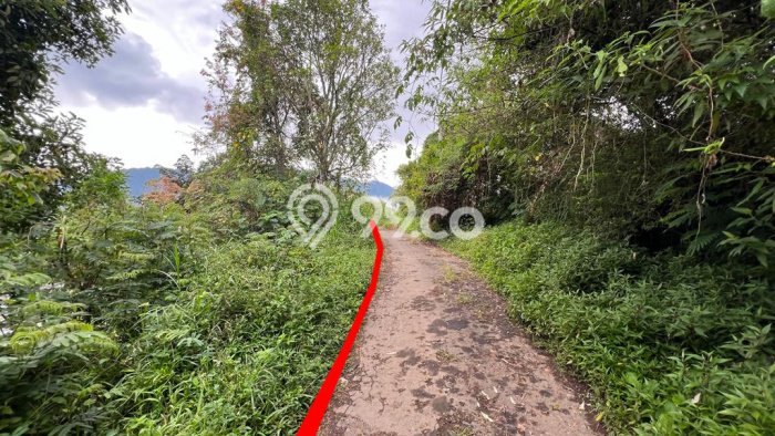 Tanah Komersial Kawasan Sukasada, Luas 12100m2m², Lokasi Strategis Tanah Komersial Kawasan Sukasada, Luas 12100m2m², Lokasi Strategis
