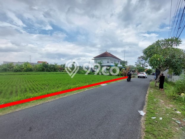 Disewakan Tanah Seluas 1870m2 di Mengwi, Badung Disewakan Tanah Seluas 1870m2 di Mengwi, Badung