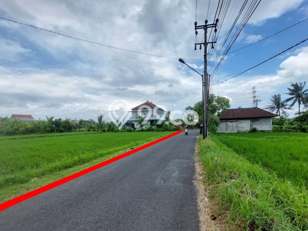 Disewakan Tanah Seluas 1870m2 di Mengwi, Badung Disewakan Tanah Seluas 1870m2 di Mengwi, Badung
