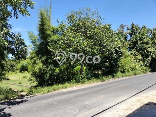 Tanah Disewakan Lokasi Badung Seluas 400m2 Strategis dan Aman Tanah Disewakan Lokasi Badung Seluas 400m2 Strategis dan Aman