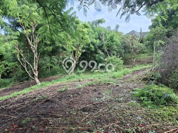 Kavling Tanah untuk Dijual di Ungasan, Badung, Luas 1500m2 Kavling Tanah untuk Dijual di Ungasan, Badung, Luas 1500m2