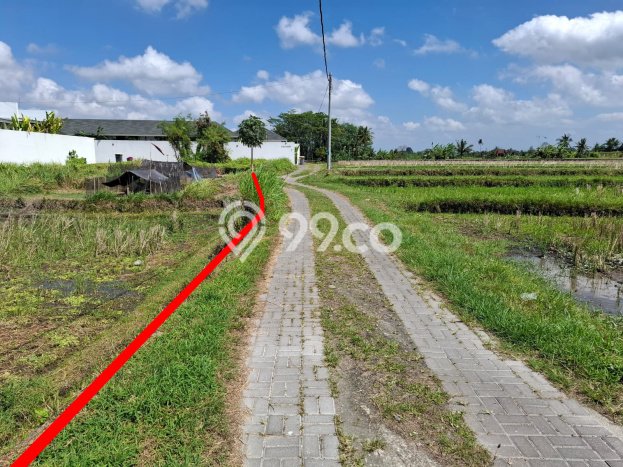Siap Disewakan Tanah di Sukawati Luas 600m2 Area Potensial Siap Disewakan Tanah di Sukawati Luas 600m2 Area Potensial