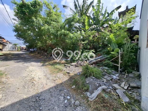 Tanah Kavling Disewakan di Kerobokan dengan Luas 150m2 Tanah Kavling Disewakan di Kerobokan dengan Luas 150m2