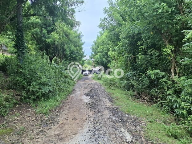 Kavling Tanah untuk Dijual di Ungasan, Badung, Luas 1500m2 Kavling Tanah untuk Dijual di Ungasan, Badung, Luas 1500m2