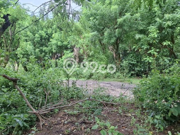 Kavling Tanah untuk Dijual di Ungasan, Badung, Luas 1500m2 Kavling Tanah untuk Dijual di Ungasan, Badung, Luas 1500m2