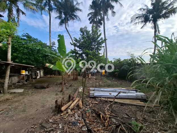 Unit Kost Dijual di Peguyangan Kaja dengan 4 Kamar Kawasan Strategis Unit Kost Dijual di Peguyangan Kaja dengan 4 Kamar Kawasan Strategis