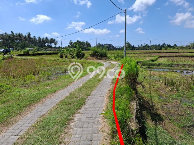 Siap Disewakan Tanah di Sukawati Luas 600m2 Area Potensial Siap Disewakan Tanah di Sukawati Luas 600m2 Area Potensial