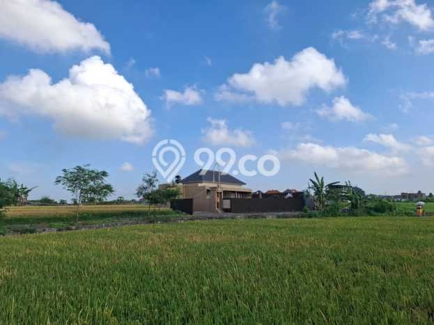 Disewakan! Rumah 2 Kamar Tidur &
3 Kamar Mandi di Dalung Permai, Denpasar Disewakan! Rumah 2 Kamar Tidur &
3 Kamar Mandi di Dalung Permai, Denpasar