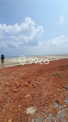 Tanah Kavling Dijual di Tanjung Tinggi, Belitung dengan Luas Tanah 10000m2 Tanah Kavling Dijual di Tanjung Tinggi, Belitung dengan Luas Tanah 10000m2