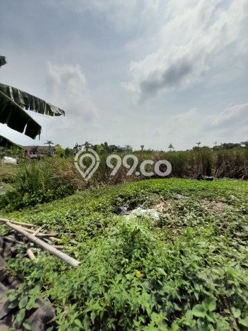 Lahan Investasi Lokasi Neglasari Tangerang SHM Lahan Investasi Lokasi Neglasari Tangerang SHM