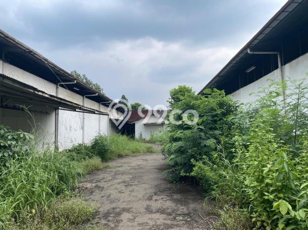 Pabrik Bagus Dijual di Cikokol Tangerang Lokasi Strategis Cocok untuk Kembangkan Bisnis Pabrik Bagus Dijual di Cikokol Tangerang Lokasi Strategis Cocok untuk Kembangkan Bisnis