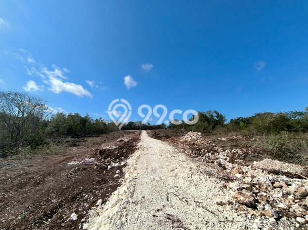 Tanah di Nusa Dua, Luas 200m², Akses Fasilitas, Ideal untuk Perumahan Tanah di Nusa Dua, Luas 200m², Akses Fasilitas, Ideal untuk Perumahan