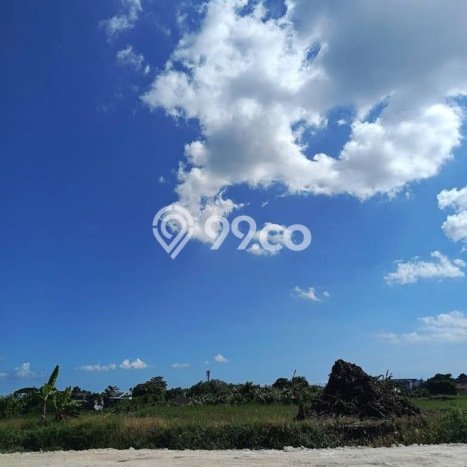 Tanah Premium di Canggu, Luas 113m², Ideal untuk Investasi Tanah Premium di Canggu, Luas 113m², Ideal untuk Investasi