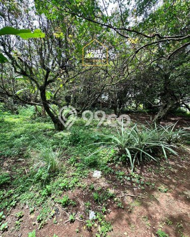 Tanah Dijual di Depok Seluas 4850m2 Strategis Tanah Dijual di Depok Seluas 4850m2 Strategis