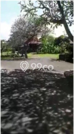 Kavling Tanah untuk Dijual di Ngurah Rai, Badung, Luas 16000m2 Kavling Tanah untuk Dijual di Ngurah Rai, Badung, Luas 16000m2