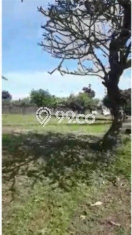 Kavling Tanah untuk Dijual di Ngurah Rai, Badung, Luas 16000m2 Kavling Tanah untuk Dijual di Ngurah Rai, Badung, Luas 16000m2