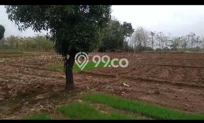 Tanah Dijual Area Strategis di Majalengka Kota Majalengka 20000m2 Tanah Dijual Area Strategis di Majalengka Kota Majalengka 20000m2