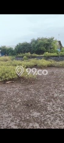 Tanah Dijual Lokasi Tongas Probolinggo SHM Tanah Dijual Lokasi Tongas Probolinggo SHM