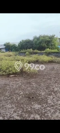 Tanah Dijual Lokasi Tongas Probolinggo SHM Tanah Dijual Lokasi Tongas Probolinggo SHM