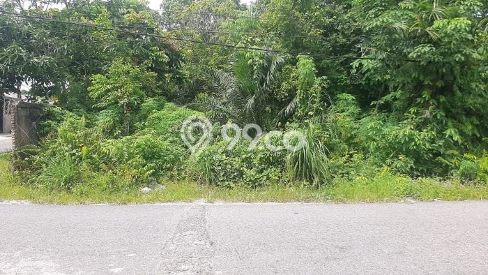 Lahan Investasi Lokasi Tampan Pekanbaru SHM Lahan Investasi Lokasi Tampan Pekanbaru SHM