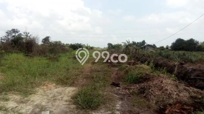 Lahan untuk Dijual Lokasi Payung Sekaki, Pekanbaru Luas 920m2 - Lahan untuk Dijual Lokasi Payung Sekaki, Pekanbaru Luas 920m2 -