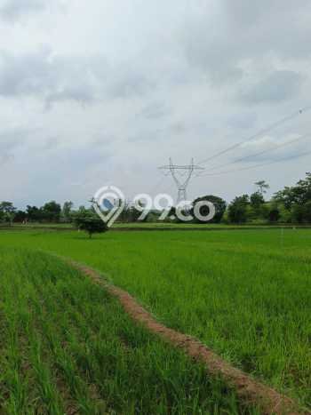 Tanah Dijual Lokasi Tomo, Sumedang dengan Luas Tanah 5847m2 dan Status - Tanah Dijual Lokasi Tomo, Sumedang dengan Luas Tanah 5847m2 dan Status -