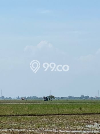 Tanah Dijual Area Strategis di Subang Kota Subang 24500m2 Tanah Dijual Area Strategis di Subang Kota Subang 24500m2