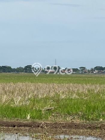 Lahan Kosong Dijual di Pamanukan, Subang, Luas 24500m2 Area Strategis Lahan Kosong Dijual di Pamanukan, Subang, Luas 24500m2 Area Strategis