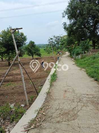 Tanah Dijual Lokasi Tomo, Sumedang dengan Luas Tanah 5847m2 dan Status - Tanah Dijual Lokasi Tomo, Sumedang dengan Luas Tanah 5847m2 dan Status -