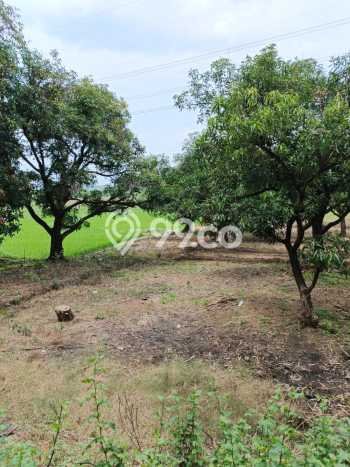 Tanah Dijual Lokasi Tomo, Sumedang dengan Luas Tanah 5847m2 dan Status - Tanah Dijual Lokasi Tomo, Sumedang dengan Luas Tanah 5847m2 dan Status -
