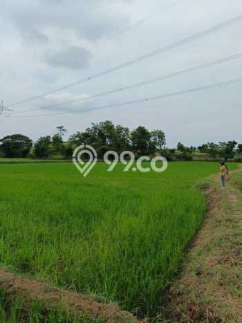 Tanah Dijual Lokasi Tomo, Sumedang dengan Luas Tanah 5847m2 dan Status - Tanah Dijual Lokasi Tomo, Sumedang dengan Luas Tanah 5847m2 dan Status -