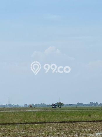 Dijual Tanah di Subang, Luas 24500m2 SHM Dijual Tanah di Subang, Luas 24500m2 SHM