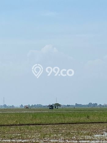 Dijual Tanah di Subang, Luas 24500m2 SHM Dijual Tanah di Subang, Luas 24500m2 SHM